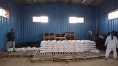 وزارة الزراعة: توزيع 100 طن تقاوي شعير و33 ألف شتلة زيتون "بالمجان" لدعم مزارعي سيدي براني والسلوم بمرسى مطروح