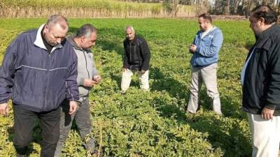 "الزراعة" تتابع موقف النمل الأبيض وتتفقد الزراعات الشتوية في محافظات الصعيد