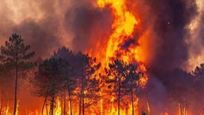 أستراليا تعلن حالة الكارثة جنوب شرق البلاد بسبب حرائق الغابات