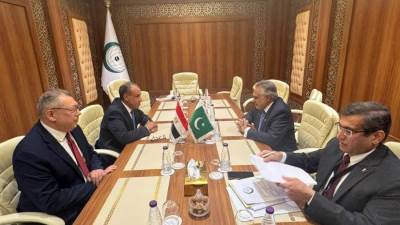 لقاء بين وزير الخارجية مصري ونظيره الباكستاني