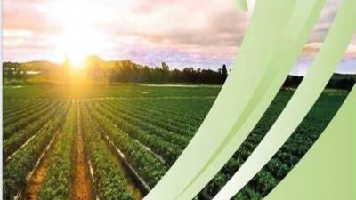 إقبال كبير من المصريين بالخارج على مبادرة "مزرعتك في مصر"