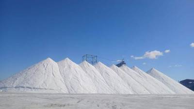 "قطاع الأعمال": "النصر للملاحات" تصدر أكبر شحنة ملح في تاريخها من ميناء العريش