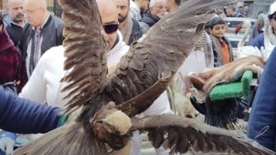 وزارة البيئة تضبط طيور وحيوانات برية محظور تداولها بسوق ديانا بالأزبكية