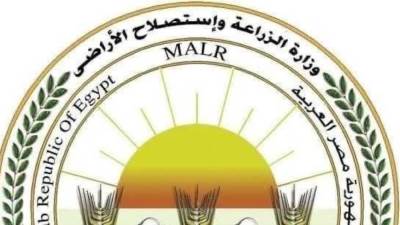 "الزراعة": تحصين 1.2 مليون رأس ماشية ضد "الحمى القلاعية" حتى الآن