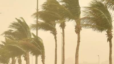 الأرصاد: ارتفاع طفيف في درجات الحرارة اليوم مع نشاط رياح واضطراب بالملاحة على المتوسط