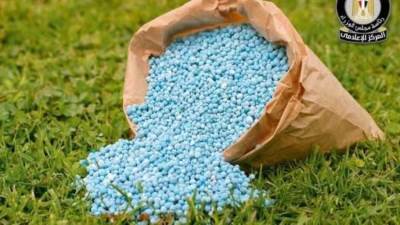 المركز الإعلامي لمجلس الوزراء يوضح حقيقة نقص التقاوي والأسمدة المعتمدة لزراعة القمح بالمنافذ الرسمية