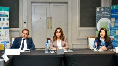 وزيرة التنمية تعقد اجتماعاً مع المراكز البحثية التي تعمل على إعداد دراسات تقييم مخاطر المناخ