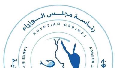 جهاز حماية وتنمية البحيرات.. يواصل أعمال الحصاد ويحقق إنتاج 33 طنًا من مزرعة المنزلة السمكية