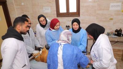 "الزراعة": تحصين 8,254 كلب حر وتعقيم 1,122 منذ يناير ضمن الحملة القومية لمكافحة مرض السعار