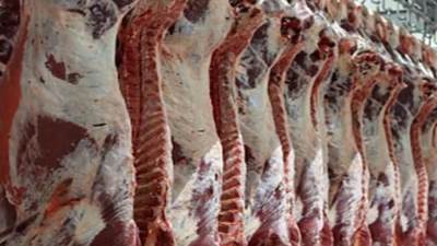 الأوقاف تعتمد صرف 500 كيلو من لحوم الصكوك لدعم الأسر الأولى بالرعاية بالقليوبية خلال رمضان