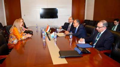 وزير الخارجية يؤكد أهمية القطاع الخاص في تحقيق التنمية المستدامة في أفريقيا