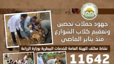 "الزراعة" تعلن تحصين وتعقيم أكثر من 11 ألف كلب حر منذ يناير وتنفيذ 779 ندوة إرشادية لرفع الوعي المجتمعي
