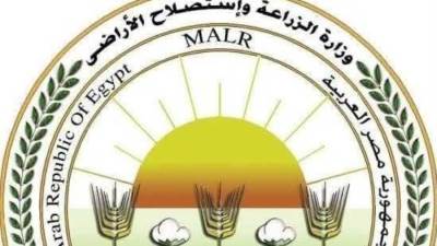 "الزراعة": تحصين 12,665 كلب حر وتعقيم 1,593 منذ يناير ضمن الحملة القومية لمكافحة مرض السعار