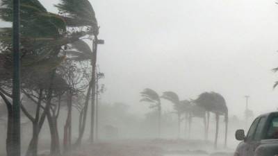 رئيس مركز المناخ يحذر من منخفض خماسينى وارتفاع درجات الحرارة السبت المقبل