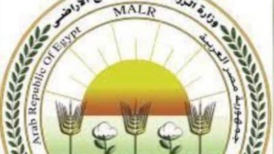 "الزراعة": استقرار كامل في إمدادات الأسمدة المدعمة ولا نقص في الحصص