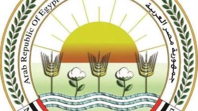 "الزراعة" تعلن خطة لتعزيز نفاذ الصادرات الزراعية المصرية للأسواق العربية والخليجية في إطار دعم الأمن الغذائي الإقليمي