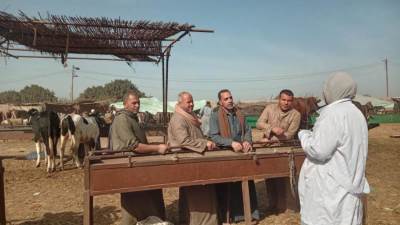 الزراعة: فحص أكثر من 555 ألف طائر و180 ألف رأس ماشية خلال فبراير