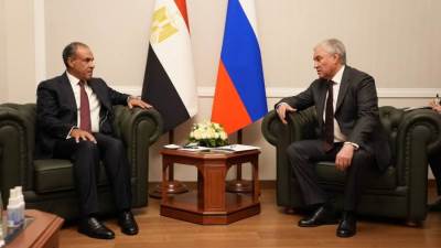 وزير الخارجية يلتقي رئيس مجلس الدوما الروسي