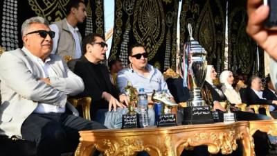 وزير الرياضة ومحافظ الدقهلية يشهدان ختام دورة كرة قدم بمركز شباب منشأة عبد الرحمن