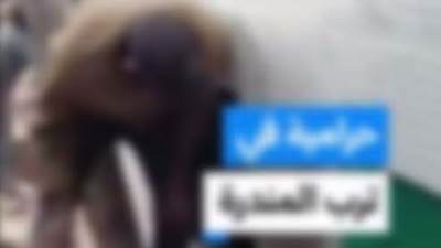 كشف حقيقة إدعاء شخص بقيام آخرين بهدم حائط إحدى المقابر وسرقة مساحات من مقابر أخرى بالإسكندرية