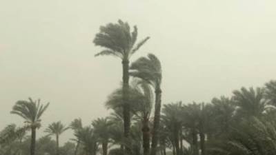 الطقس اليوم.. انخفاض درجات الحرارة وشبورة وأمطار ببعض المناطق