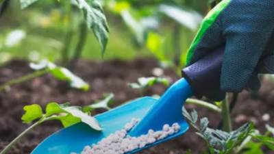 مصر تفرض رسوماً جديدة على صادرات الأسمدة