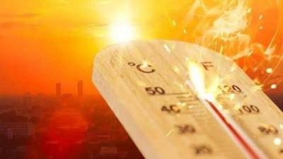 الطقس اليوم.. ارتفاع فى الحرارة وشبورة ونشاط رياح والعظمى بالقاهرة 31 درجة