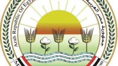 "الزراعة" توضح أسباب الارتفاع المؤقت لأسعار الطماطم وتعلن انفراجة قريبة