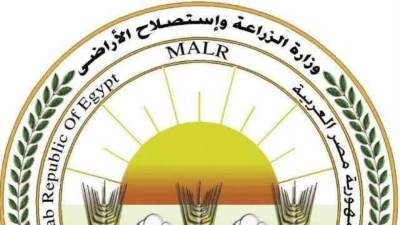 "الزراعة" تعلن طفرة في صادرات الخيول العربية إلى الأسواق الأوروبية والعربية وتجديد اعتماد خلو مصر من طاعون الخيل الأفريقي
