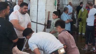 محافظ الجيزة: ذبح 4300 أضحية داخل المجازر الحكومية خلال الأيام الثلاثة الأولى لعيد الأضحى