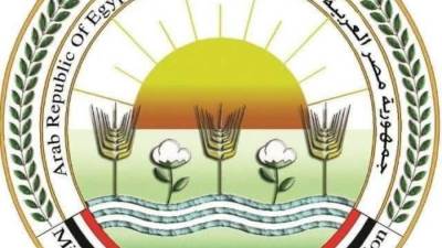 "الزراعة" تعلن ذبح 35,514 أضحية بالمجازر الحكومية مجاناً للمواطنين خلال عيد الأضحى
