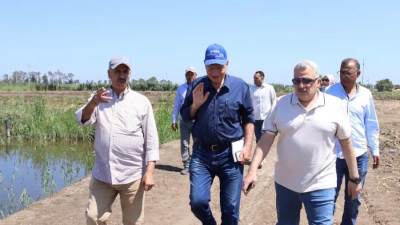 "المدير التنفيذي لجهاز حماية وتنمية البحيرات" يستقبل مدير المركز الدولي للأسماك لبحث التعاون