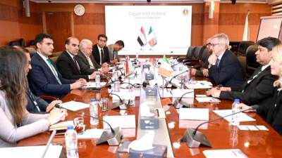 وزير الصناعة يبحث مع سفير أيرلندا لدى مصر وممثلي هيئة المشروعات الأيرلندية فرص التعاون الصناعي