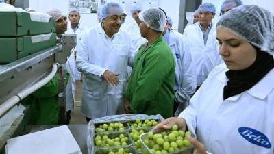رئيس الوزراء يتفقد مزارع ومحطات فرز وتعبئة شركة "بلكو" للإنتاج الزراعي بمدينة السادات