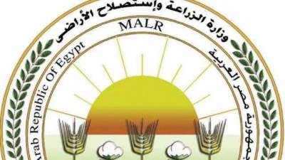 "الزراعة" ترد على فيديو «زيادة وزن الموز»: ادعاءات غير علمية تثير البلبلة