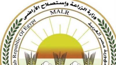 "الزراعة" تكثّف جهود الرعاية التناسلية والتحسين الوراثي للماشية خلال يونيو: "الخدمات البيطرية" تنفذ التلقيح الاصطناعي لأكثر من 39 ألف رأس وتواصل دعم برامج التحسين الوراثي