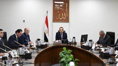 رئيس الوزراء يستعرض الرؤية المقترحة لتطوير زراعة وصناعة الكتان في مصر 