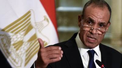وزير الخارجية للمصريين بالخارج: أدعوكم للعمل الجاد لتوحيد الجهود تحت سقف واحد