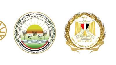 طرح السكر الحر بسعر 25 جنيهًا للكيلو اعتبارًا من غد الخميس 6 أغسطس