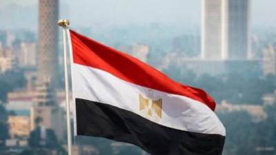 مصر تدين بشدة الهجوم على سفينتين إماراتيتين في مضيق هرمز