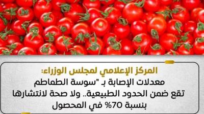 المركز الإعلامي لمجلس الوزراء: معدلات الإصابة بـ"سوسة الطماطم" تقع ضمن الحدود الطبيعية