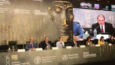 انطلاق أعمال الدورة التاسعة عشرة للجنة الكودكس المعنية بالملوثات في الأغذية بالقاهرة بمشاركة دولية واسعة