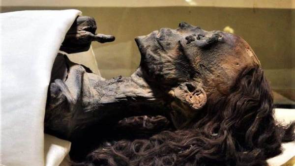  شعر الملكة تي لايزال جميلا رغم موتها منذ آلاف السنين 8586