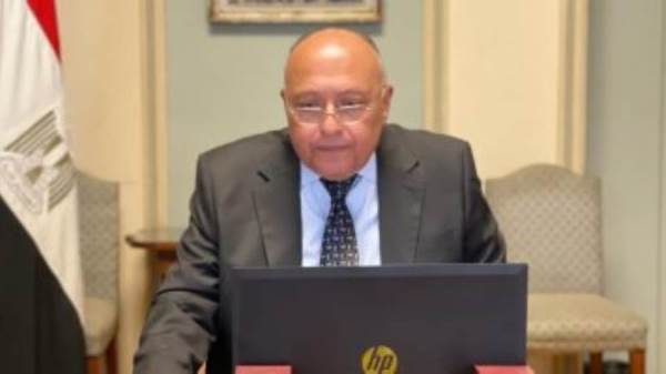 وزير الخارجية سامح شكري