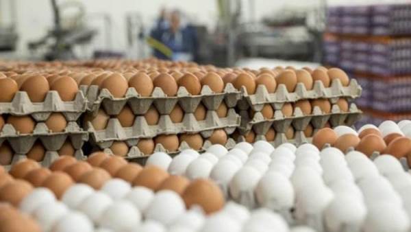 طبق البيض بـ49 جنيه في المجمعات الاستهلاكية