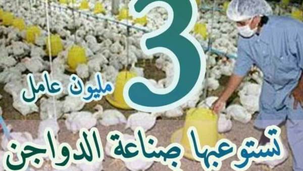 الزراعة