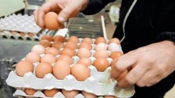 البيض