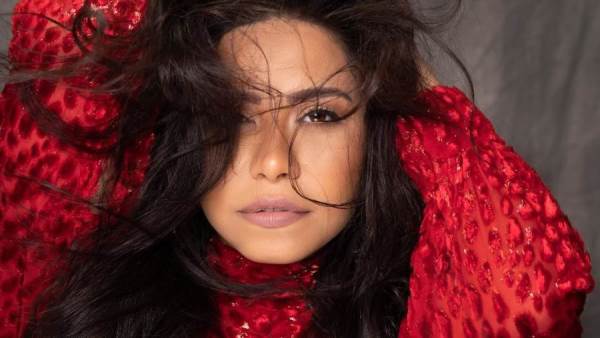 محامي الفنانة شيرين عبدالوهاب يصدر بيانا جديدا