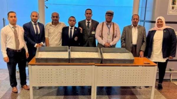 جمارك الغردقة
