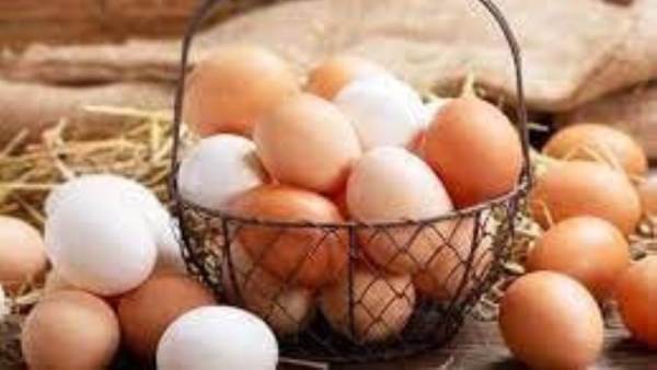 أسعار البيض
